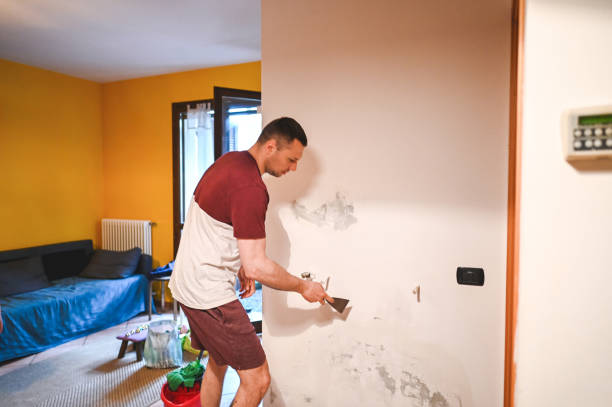 Best Attic Mold Remediation in Lakehurst, NJ
